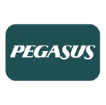 Pegasus Airlines